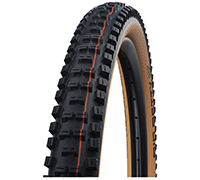 62-584 BIG BETTY SGra AXSo TLE s/cla *