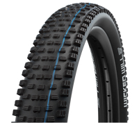 57-584 WICKEDWILL SGro AXSpG TLE s/s *